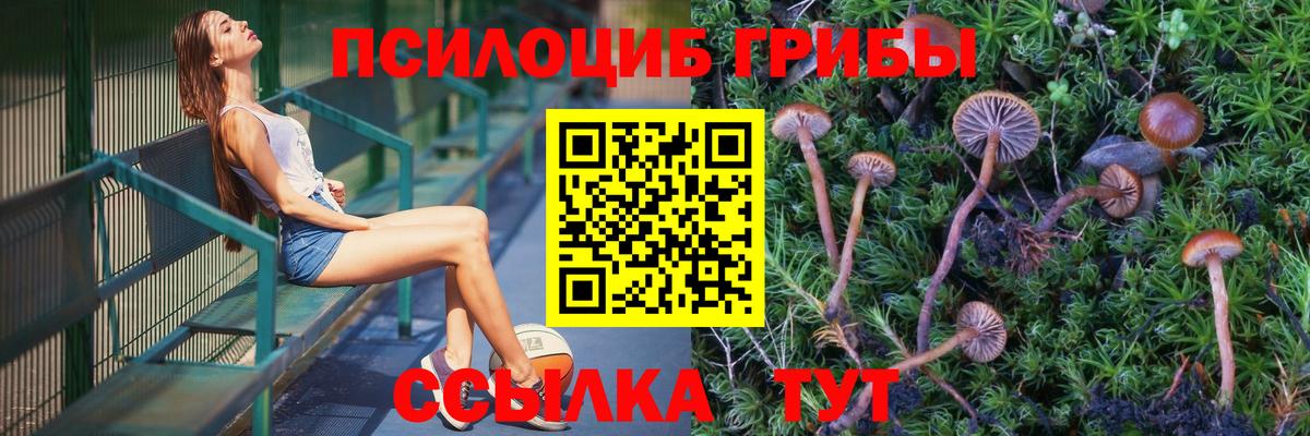 Галлюциногенные грибы прущие грибы Кандалакша