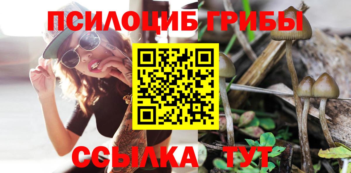 Псилоцибиновые грибы ЛСД  Вход с VPN  Кандалакша 